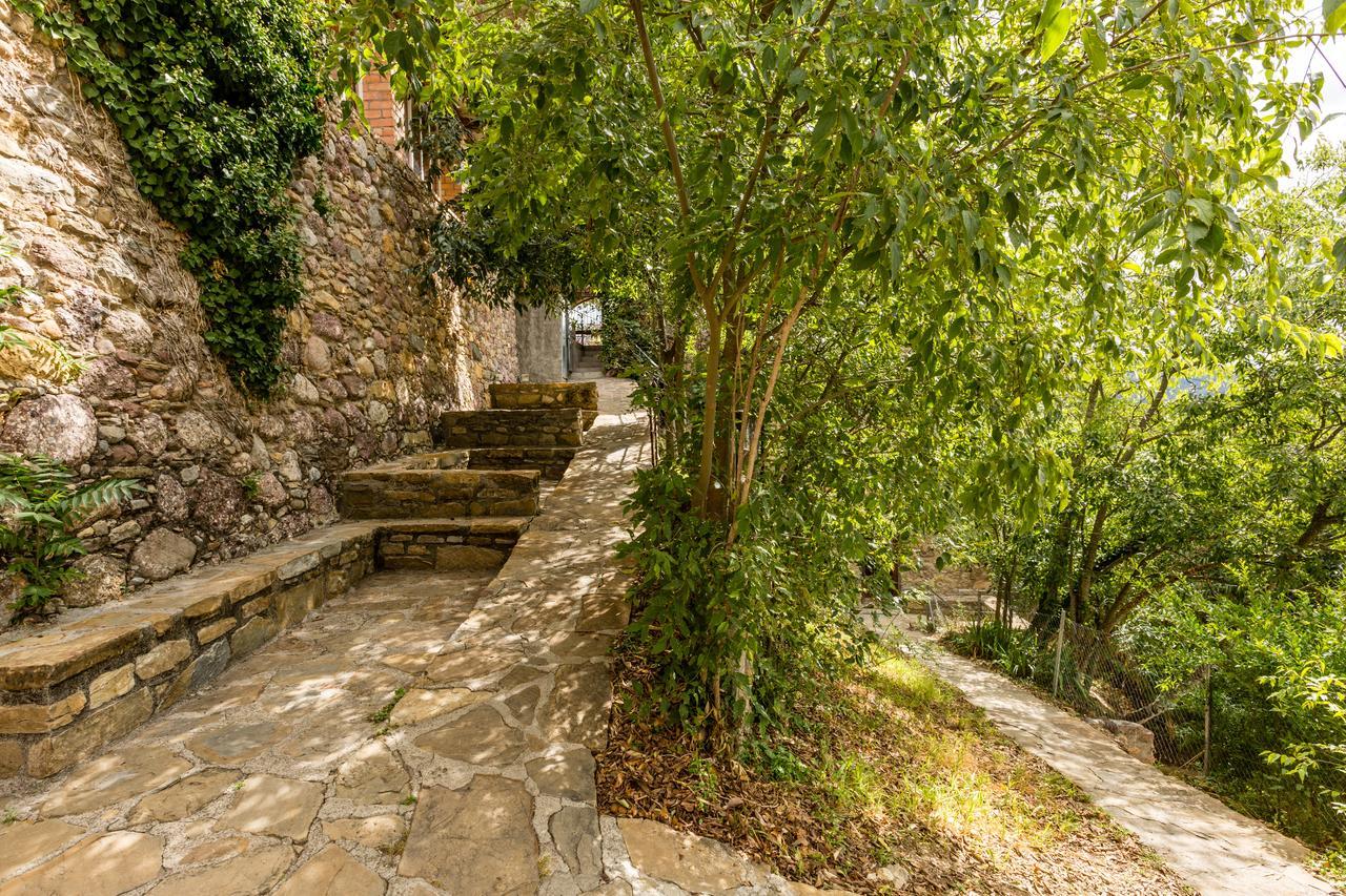 Alberg La Solana Salas de Pallas Экстерьер фото